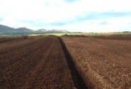 Peat harvesting in Midlothian