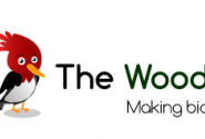 The Woodpicker The Woodpicker