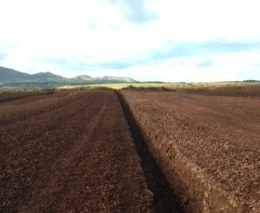 Peat harvesting in Midlothian