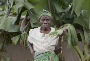 woman with banana leaf woman with banana leaf